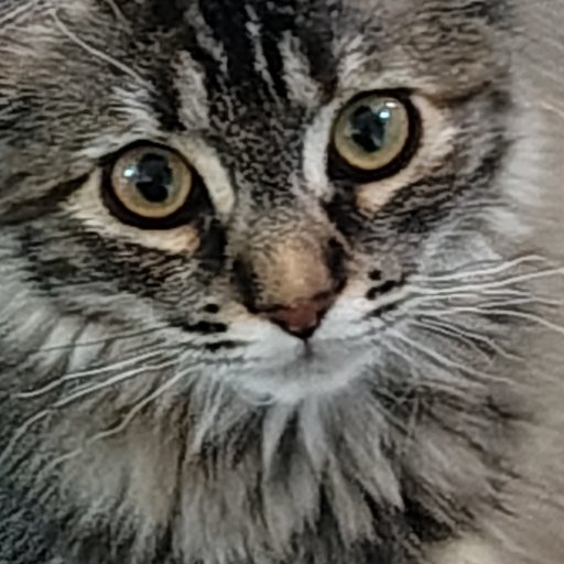 Sara